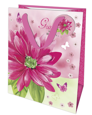 Euro Style Paper Shoppers for Gift Packaging for Party, Holiday, Wedding