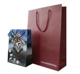 Euro Paper Shopping Carrier Bags